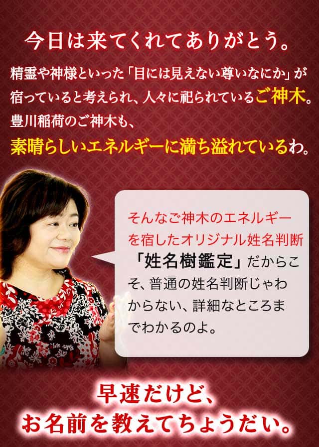 名前だけで核心ビシッ 噂の的中27年 豊川稲荷の母 激当て姓名樹鑑定 好きでいても無駄 年の差 復縁 略奪 訳アリ片想いを待つ最後 楽天占い